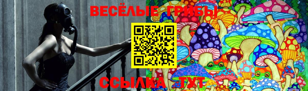 Псилоцибиновые грибы мицелий Борисоглебск