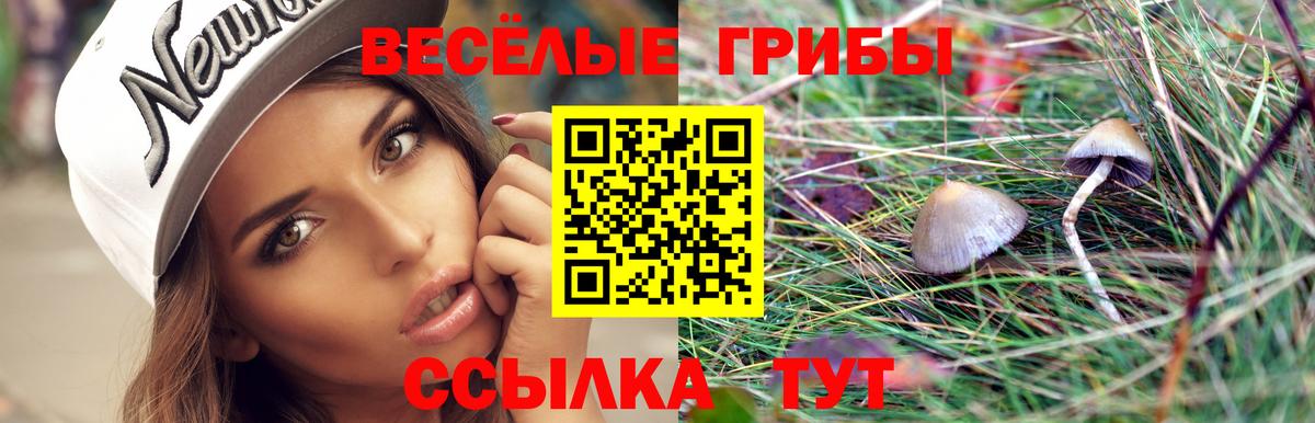 Псилоцибиновые грибы GOLDEN TEACHER  Галлюциногенные грибы GOLDEN TEACHER  Борисоглебск  Вход с VPN 